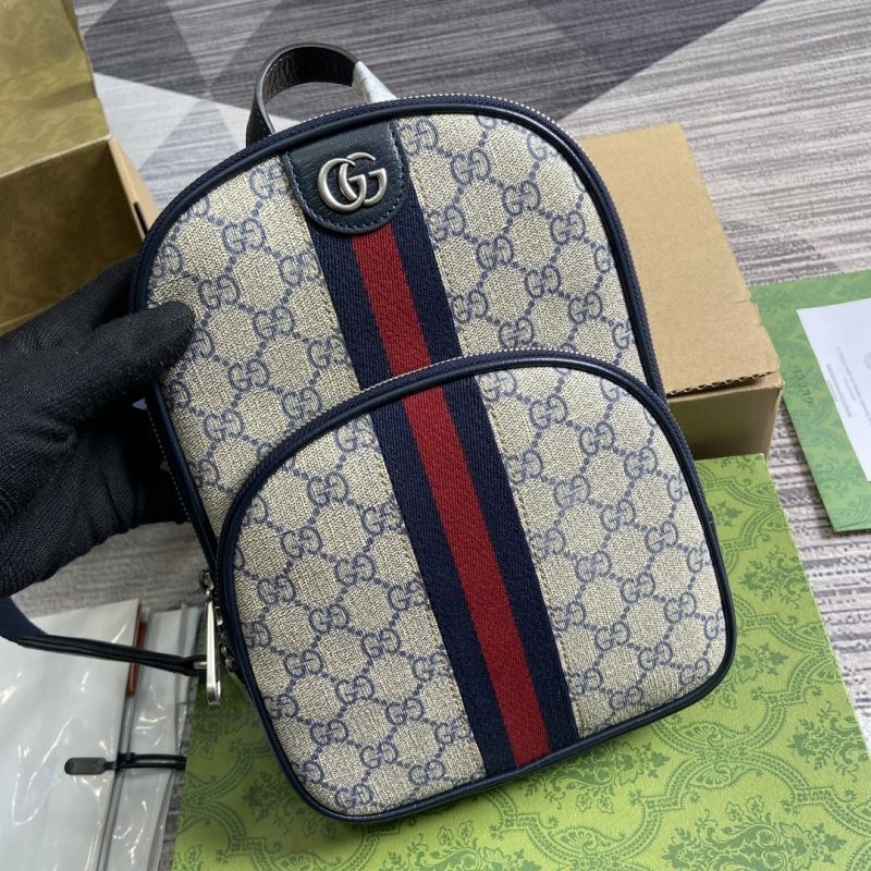 Gvc*1 waist chest packs